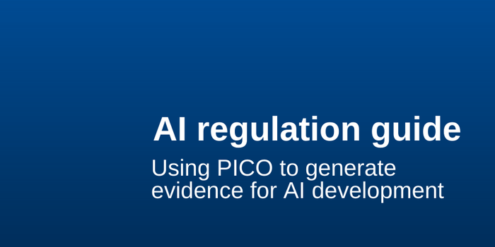 AI regulation guide (1).png